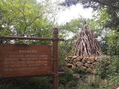 -棒棰岛宾馆景区