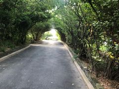 -烟台山景区