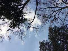 iphone_upload_pic-井之头恩赐公园