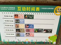 -正佳雨林生态植物园