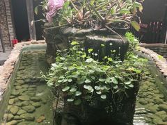 -园林美食城·本土农家菜(杨和镇店)