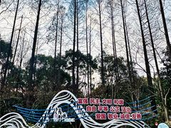 -徐家汇源景区-衡山公园