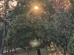 -堤角公园