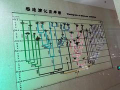 -甘肃地质博物馆