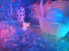 -世界之窗阿尔卑斯冰雪世界