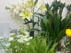 -花草间花行(法华镇路店)