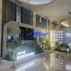 -深圳美莱医疗美容医院