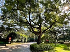 -上海虹桥迎宾馆