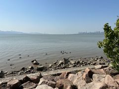 -深圳湾公园(南山区)