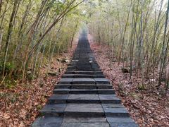 -南京市无想山景区