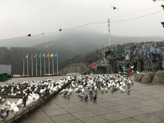 门面-大连森林动物园