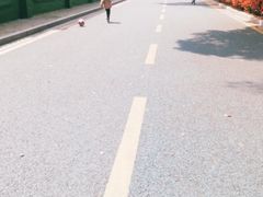 -孺子亭公园