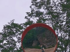 -牛背梁国家森林公园