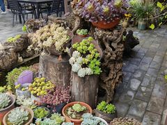 -炊烟餐厅