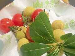 -季季山·云南野生菌火锅(上海首店)