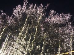 -大雁塔北广场音乐喷泉