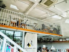 -隹木咖啡馆(宝龙广场店)