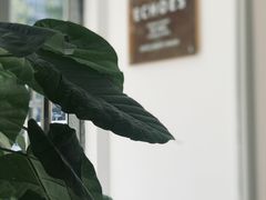 -echoes coffee回响咖啡(红山店)