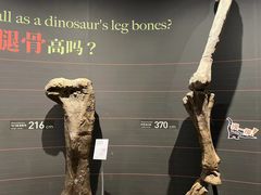 -遇见博物馆(遇见海洋沉浸式奇幻光影展)