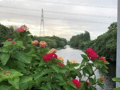 -昆山城市生态森林公园