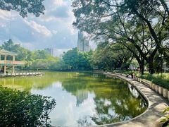 -晓港公园