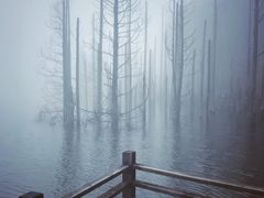 -明月山天沐温泉度假村