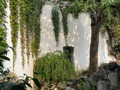 -艺圃