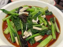 -新白鹿餐厅(百联中环店)