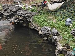 -北园酒家(小北路店)