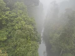 -云南屏边大围山国家公园