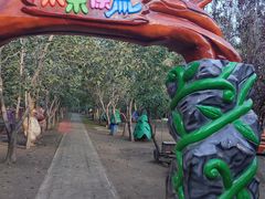 -1982农场