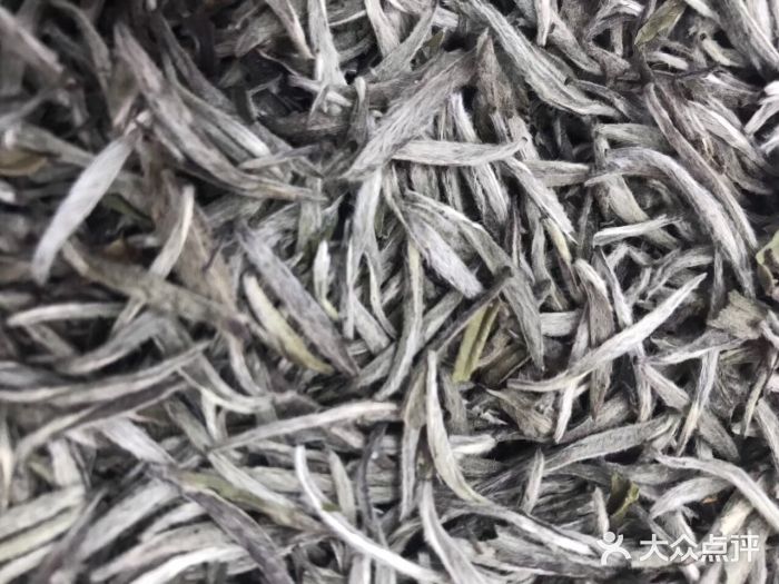 绿雪芽福鼎白茶图片