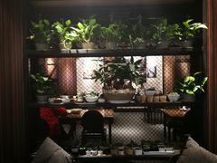 -巴蜀风情(西溪欢乐城店)