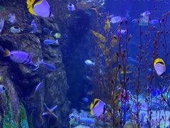 -太平洋海底世界