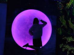 -天津梵高星空艺术馆(天河城旗舰店)
