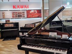 -柏斯琴行(汾阳店)
