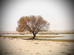 -库伦旗银沙湾旅游景区