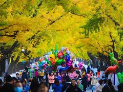 -辽东学院(南校区)