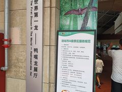 -诸城市恐龙博物馆