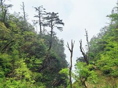 -峨眉山风景名胜区