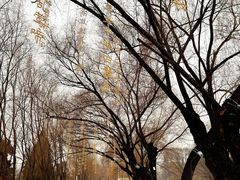 -万泉公园