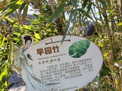 -红楼梦邮局