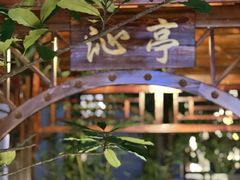 -中和·国风茶馆(愚园路店)