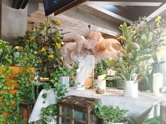 -LYFATTI 莱芙缇(赣水路店)