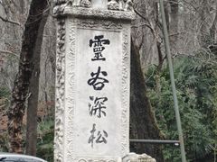 -灵谷景区
