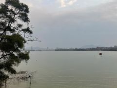 -星湖愉景酒家
