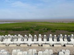 -南汇嘴观海公园