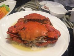 -新兴·金羊座·粤菜点心(乐峰店)