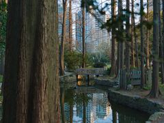 -中山公园