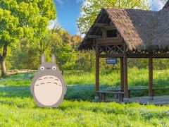 -西溪国家湿地公园